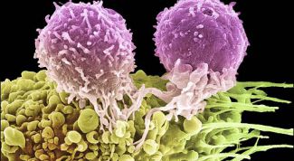 Картинка по теме - как повысить уровень лейкоцитов