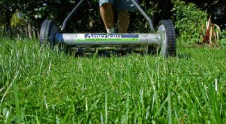 Картинка по теме - как выбрать газонокосилку
