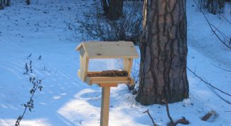Картинка по теме - как построить кормушку для птиц