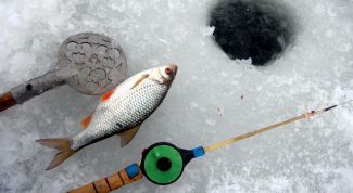 Картинка по теме - как поймать зимой карпа