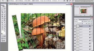 Картинка по теме - как разрезать рисунок