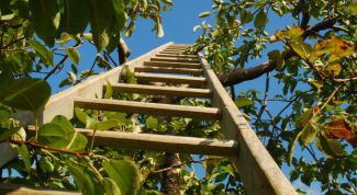 Картинка по теме - как построить лестницу деревянную