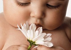 Картинка по теме - как подготовиться к эко