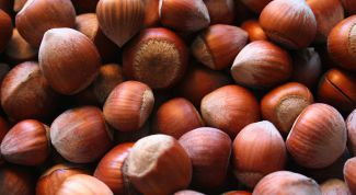 Картинка по теме - как вырастить фундук