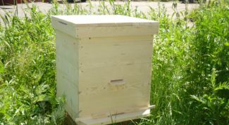 Картинка по теме - как построить улей для пчел