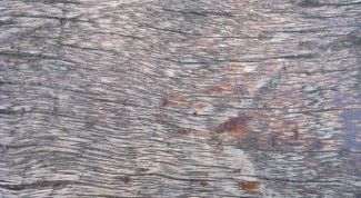 Картинка по теме - как нарисовать текстуру