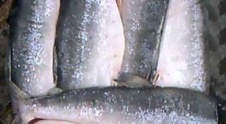 Картинка по теме - как варить уху из горбуши