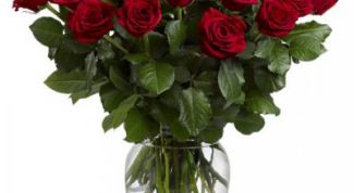 Картинка по теме - как вырастить розу из срезанной