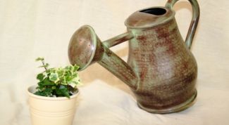 Картинка по теме - как поливать комнатные цветы