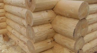 Картинка по теме - как поставить сруб