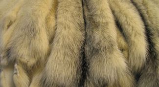 Картинка по теме - как почистить мех песца в домашних условиях