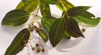 Картинка по теме - как заваривать лавровый лист