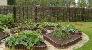 Картинка по теме - как сделать красивую грядку