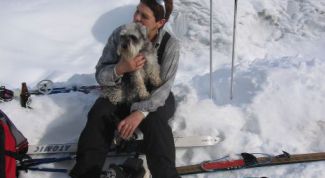 Картинка по теме - как подготовить беговые лыжи