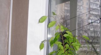 Картинка по теме - как сделать гипсокартоном откосы