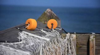 Картинка по теме - как ловить сетями