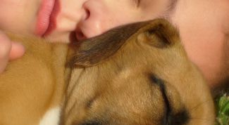 Картинка по теме - как понять свой сон