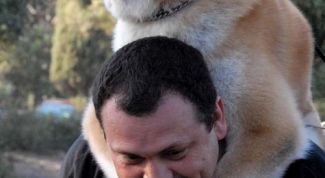 Картинка по теме - как любить свою собаку