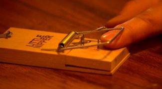 Картинка по теме - как избавиться дома от мышей