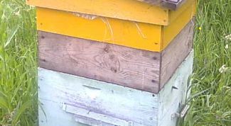 Картинка по теме - как построить улей