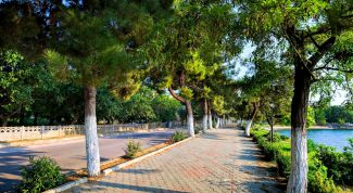 Картинка по теме - как попасть в санаторий