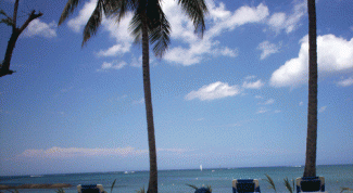 Картинка по теме - как взять отпуск