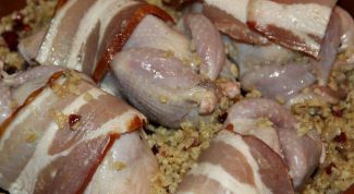 Картинка по теме - как готовить перепела