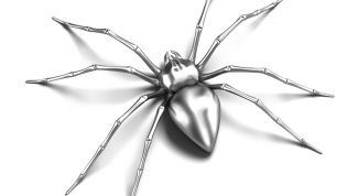 Картинка по теме - как нарисовать паука