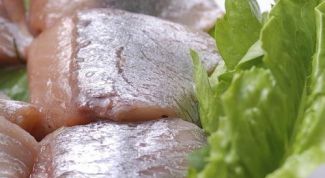 Картинка по теме - как готовить сельдь