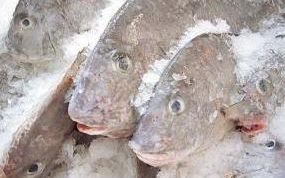 Картинка по теме - как хранить рыбу