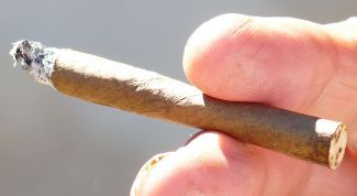 Картинка по теме - как курить сигариллы