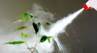 Картинка по теме - как увлажнить комнату