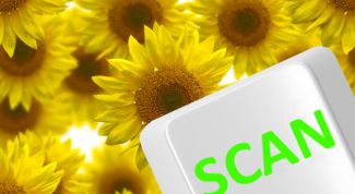 Картинка по теме - как сканировать фотографию