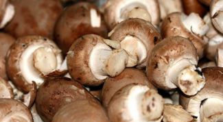 Картинка по теме - как чистить шампиньоны