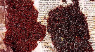 Картинка по теме - как хранить мотыля