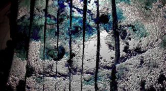 Картинка по теме - как убрать плесень