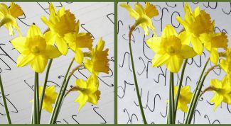 Картинка по теме - как изменить фон фотографии в фотошопе