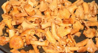 Картинка по теме - как жарить грибы