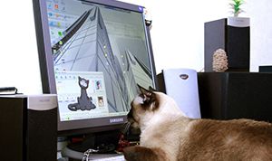 Картинка по теме - как создать папку, файл