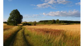 Картинка по теме - как закруглить края в фотошопе