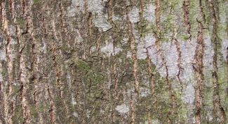 Картинка по теме - как сделать сувенир