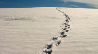Картинка по теме - как сделать снег в фотошопе