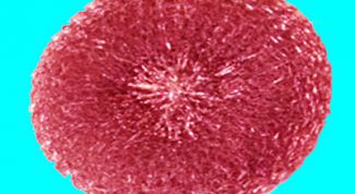 Картинка по теме - как связать крючком мочалку