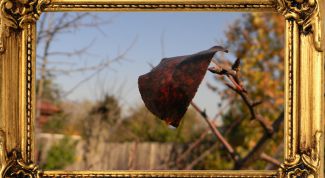 Картинка по теме - как накладывать рамки на фото