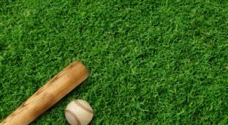 Картинка по теме - как сделать биту