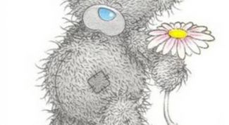 Картинка по теме - как нарисовать мишку тедди