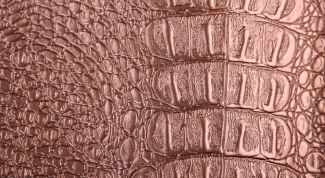 Картинка по теме - как чистить кожаное изделие