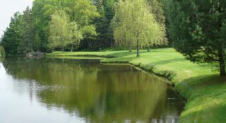 Картинка по теме - как узнать ширину