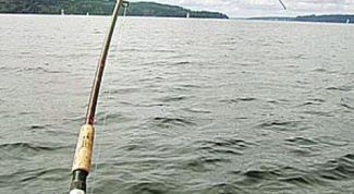 Картинка по теме - как подобрать спиннинг