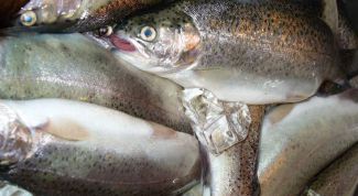 Картинка по теме - как солить форель в домашних условиях